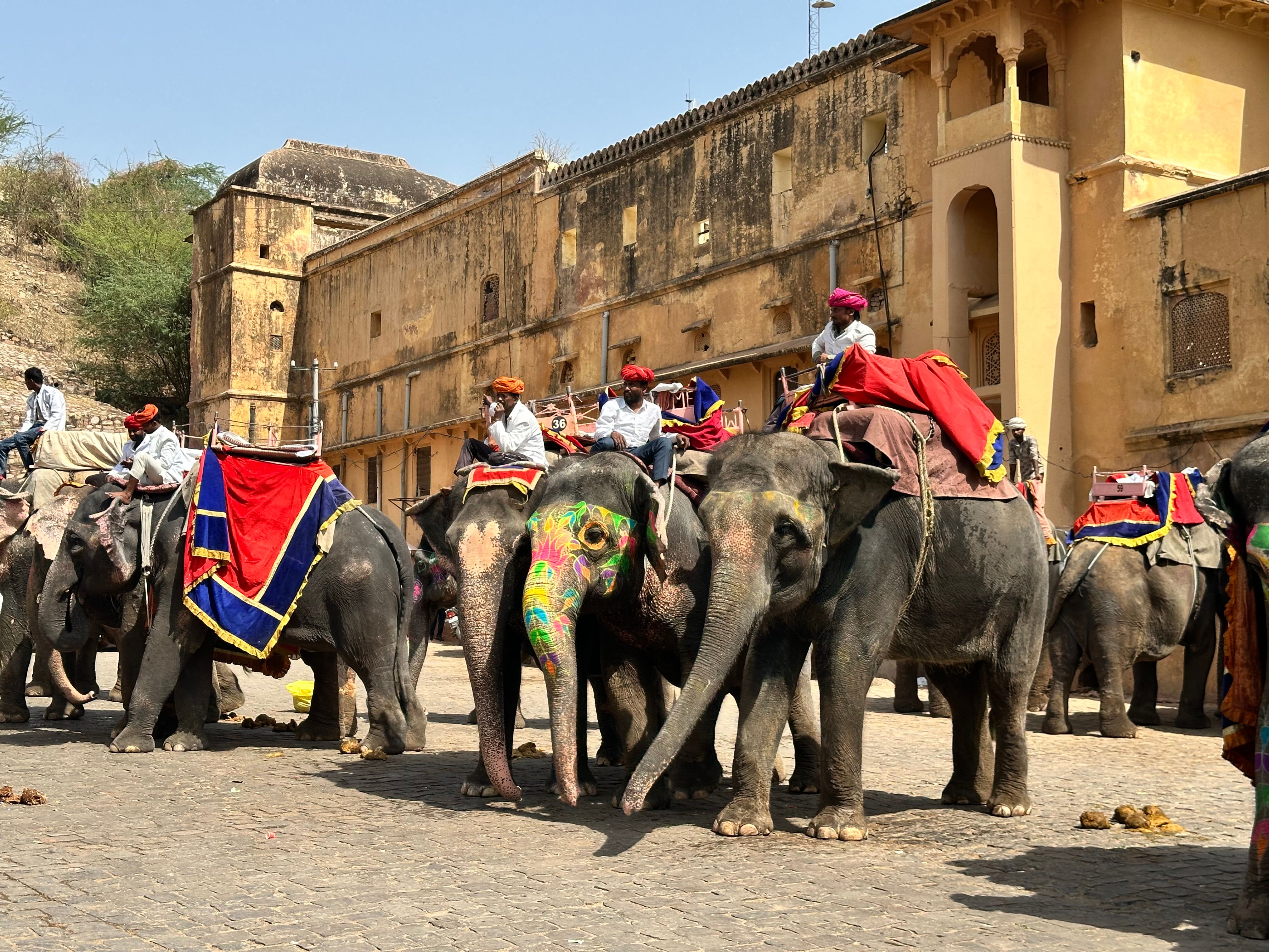 Jaipur Pink City Private Day Trip From Delhi By Car