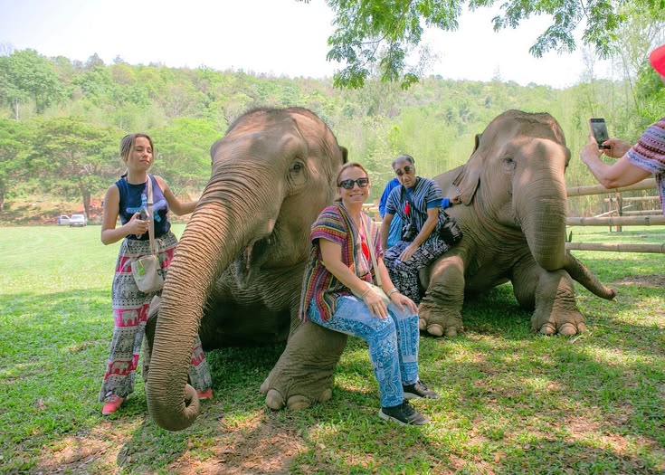 Taj Mahal Sunrise Tour with Elephant Conserving From Delhi by car